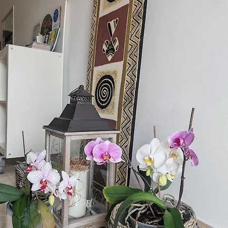 D'a Mare Bed & Breakfast